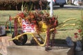 Cart with succulent flowers in the park and no authorize entry sign