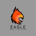 Eagle logo design vector illustration, Phoenix