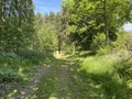 Cart track, leading from, Headley Lane near, Bradford, Yorkshire, UK Royalty Free Stock Photo