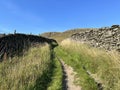 Cart track, with wild grasses, leading into the fields near, Brackenber Lane, Giggleswick, UK Royalty Free Stock Photo