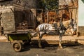 Cart in Trinidad, Cuba