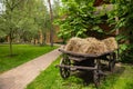 Cart of Ukrainians of the 19th century