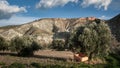 Cart under an olive tree