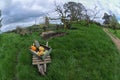 Cart with Vegetable Royalty Free Stock Photo