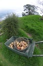 Cart with Vegetable Royalty Free Stock Photo