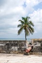 Cartagena city walls Royalty Free Stock Photo