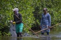 Fishermen working at the mangrove swamp