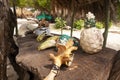 Cartagena de Indias, Colombia - Nov 21, 2010: Various painted decorative objects, such as a vertebra or whale bone, on the beach