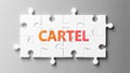 Cartel complex like a puzzle - pictured as word Cartel on a puzzle pieces to show that Cartel can be difficult and needs