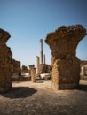 Carthage ruins of the Baths of Antoninus Pius, Tunisia, Africa