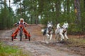 Carting dog mushing race Royalty Free Stock Photo