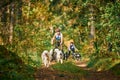 Carting dog sports, active Siberian Husky dogs running and pulling dogcarts with people outdoor Royalty Free Stock Photo