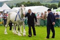 Cartmel Show 2011 heavy horse