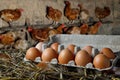 carton box with chicken eggs in hay and hens on the roost as background