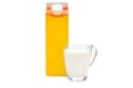 Carton box of milk and glass cup of milk on white Royalty Free Stock Photo