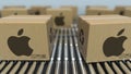 Carton boxes with APPLE INC logo move on roller conveyor. Realistic 3D rendering