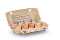 Carton filled with ten eggs Royalty Free Stock Photo