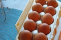 Carton of frech eggs in close-up and top-view Royalty Free Stock Photo