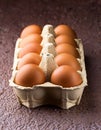 Carton of fresh brown eggs Royalty Free Stock Photo