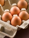 Carton of fresh brown eggs Royalty Free Stock Photo