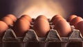 Carton of fresh brown eggs Royalty Free Stock Photo