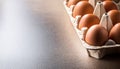Carton of fresh brown eggs Royalty Free Stock Photo
