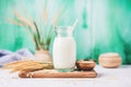 carton of oat milk surrounded by oat sheaves Royalty Free Stock Photo