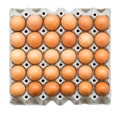 Carton paper tray with 30 brown chicken eggs, isolated on white background, top view Royalty Free Stock Photo