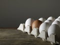 Carton of White Eggs with One Brown Egg Royalty Free Stock Photo