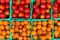 Cartons of orange and red variety of ripe cherry tomatoes