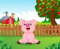 Cartoon adorable baby pig on the farm Royalty Free Stock Photo