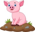 Cartoon adorable baby pig Royalty Free Stock Photo