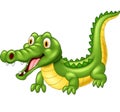 Cartoon adorable crocodile