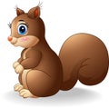 Cartoon adorable squirrel