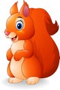 Cartoon adorable squirrel