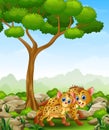 Cartoon adult hyena and cub hyena in the jungle