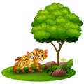 Cartoon adult hyena and cub hyena under a tree on a white background