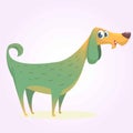 Cartoon afghan hound. Vector illustration of happy dog. Royalty Free Stock Photo