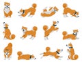 Cartoon akita dog daily routine, puppy pet walking, sleeping and howling. Domestic pet tricks, cute akita animal actions Royalty Free Stock Photo