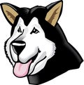 Cartoon alaskan malamute