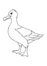 Cartoon albatross coloring page