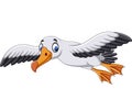 Cartoon albatross flying