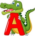 Cartoon alligator with alphabet A