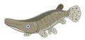 Cartoon alligator gar Royalty Free Stock Photo