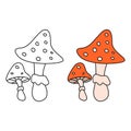 Cartoon Amanita fly agaric mushroom icon. Isolated vector illustration coloring fall plant.