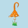 Cartoon Amanita muscaria fly agaric mushroom icon.