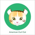 Cartoon American Curl Cat in Circle Vector Illustration