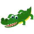 cartoon american happy and funny tropical alligator crocodile isolated on white background - illustration for children