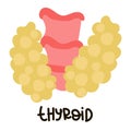 Cartoon anatomy of the thyroid gland, human thyroid gland, thyroid gland icon, cartoon vector illustration with caption