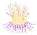 Cartoon anemone. Sea predator. Underwater life fauna Royalty Free Stock Photo